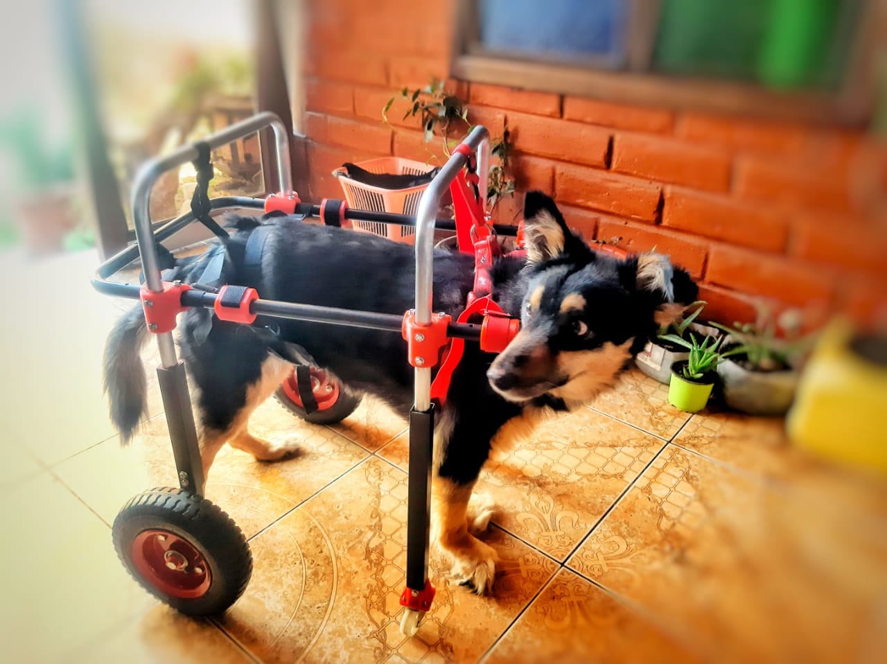 Trabajo 02